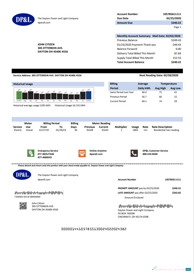 download download USA Ohio DP&L utility bill template in Word and PDF format PDF template PDF template